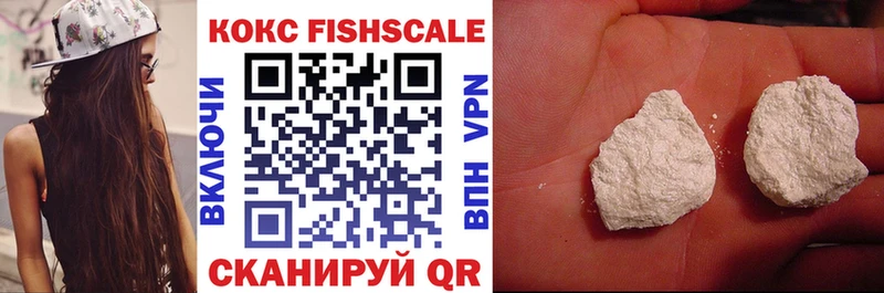 Cocaine Fish Scale  сколько стоит  Сураж 