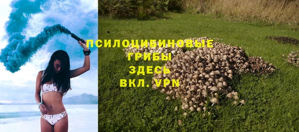 Альфа ПВП Мегион
