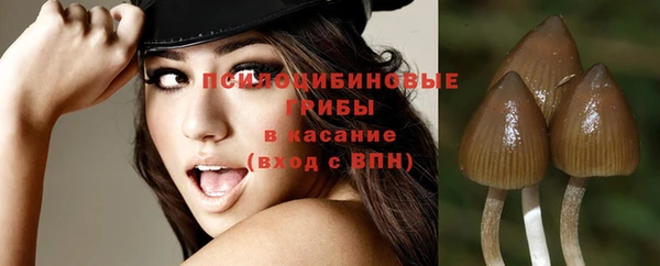 a pvp Медногорск