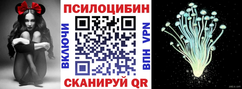 Галлюциногенные грибы мухоморы кракен онион Сураж